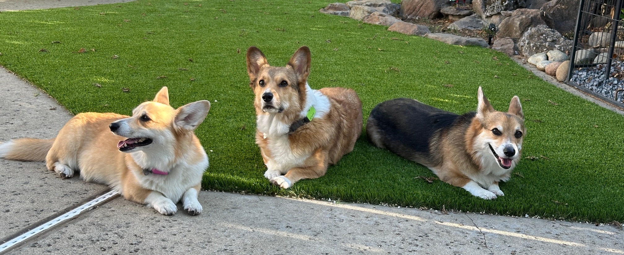 Profile banner photo